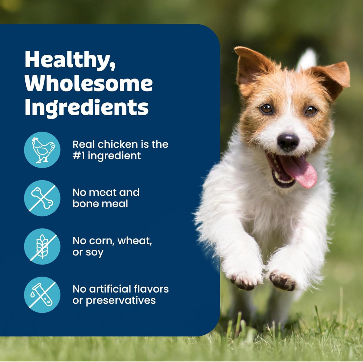 Bits Chicken Soft & Chewy Dog Training Treats