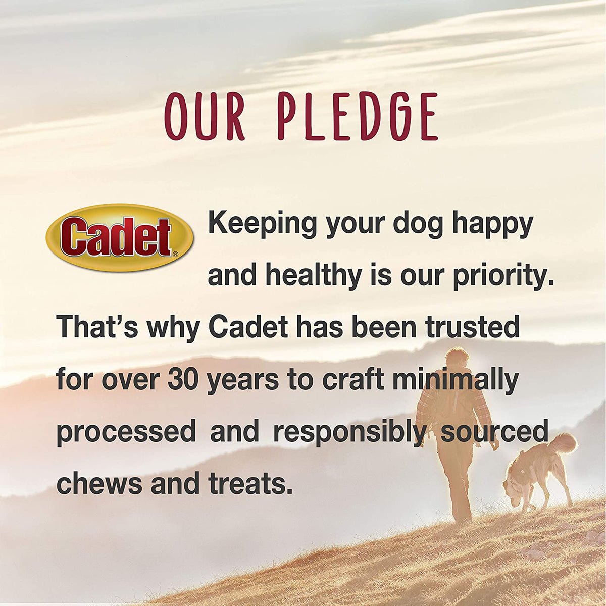 Gourmet Duck Jerky Dog Treats