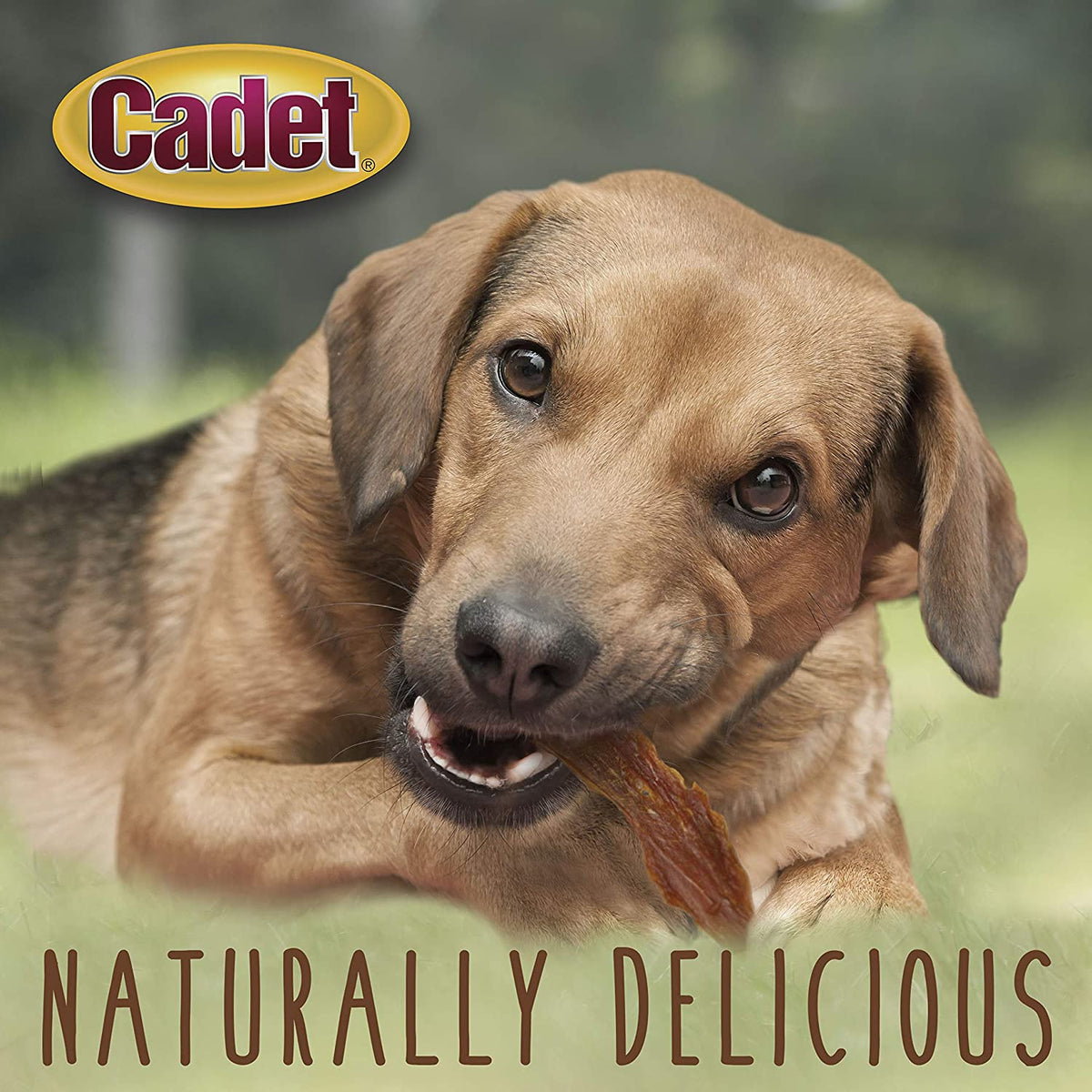 Gourmet Duck Jerky Dog Treats