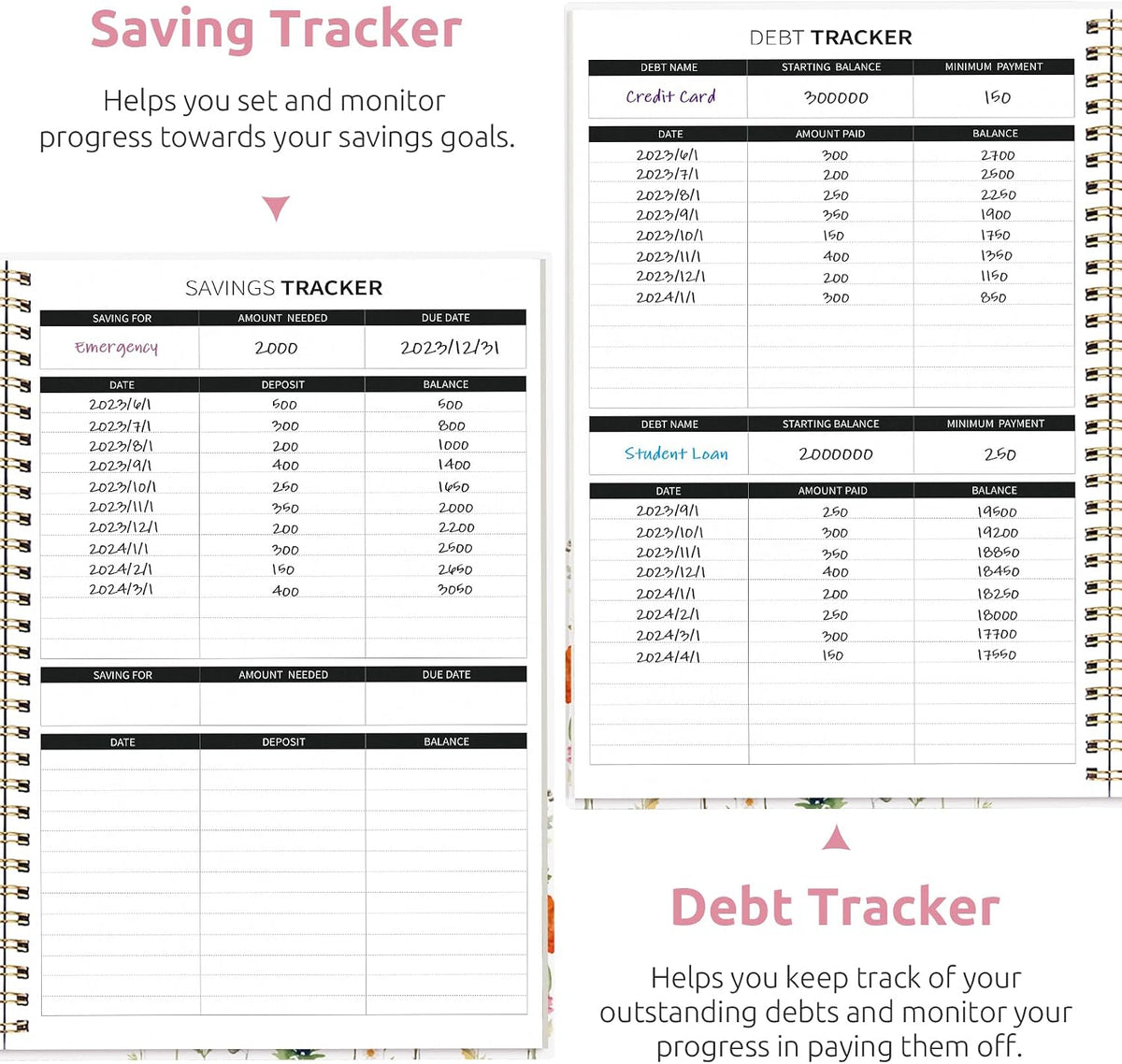 Aesthetic Budget Planner - Wildflowers