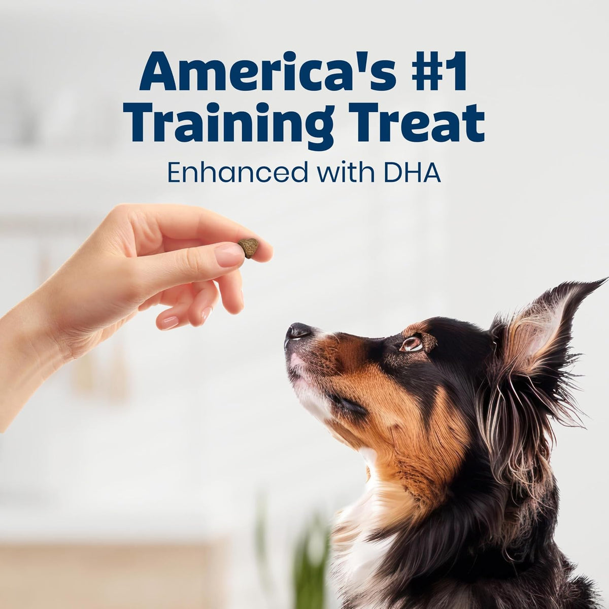 Bits Chicken Soft & Chewy Dog Training Treats